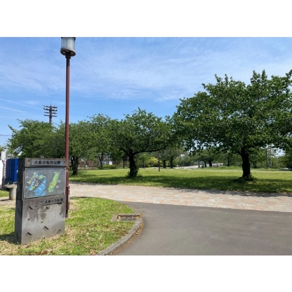 コスモスパジオ東大島 大島・小松川公園スポーツ広場(公園)まで約510m(徒歩7分)