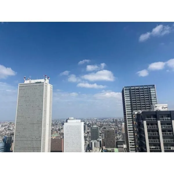 グランドシティタワー池袋 眺望