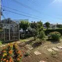 伊勢原市高森４丁目 庭