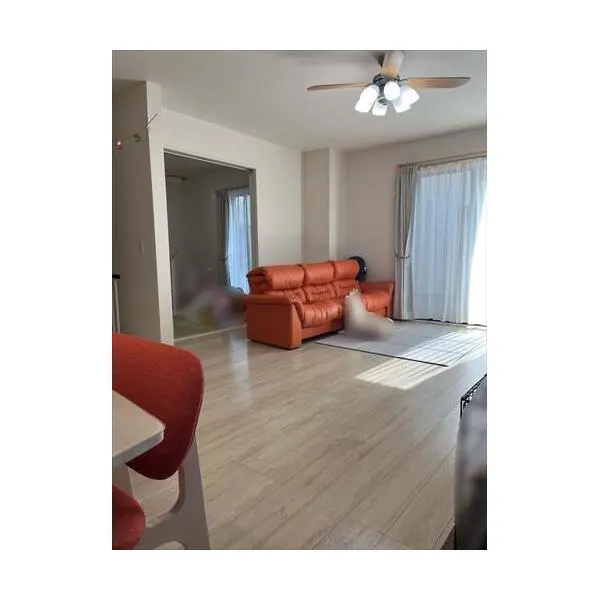 藤沢市亀井野３丁目 その他画像