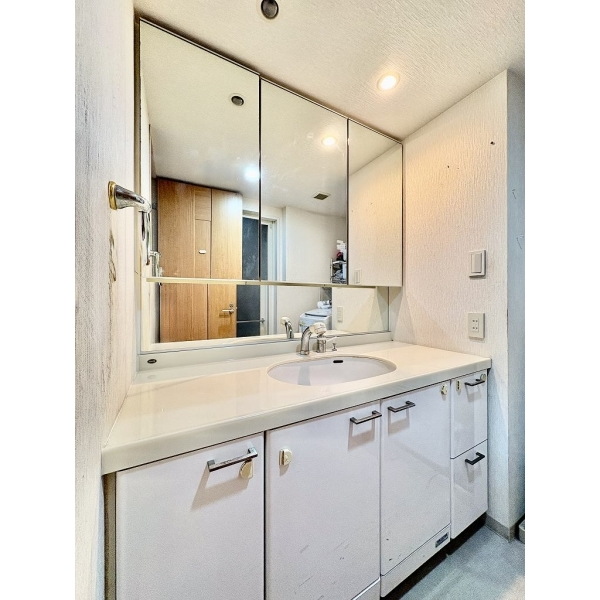 ヴェルデゾーナ新八柱 その他画像