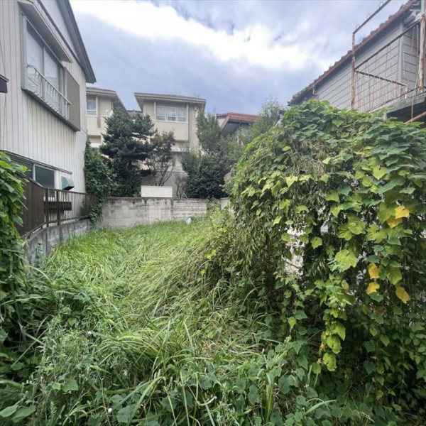 板橋区氷川町 その他画像