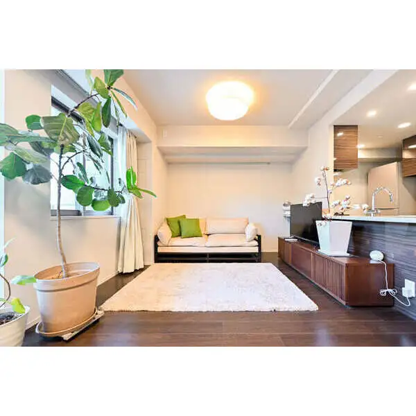 ザ・パークハウス市谷加賀町 その他画像