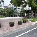 コスモ西葛西ロイヤルフォルム 小島公園（公園）まで約240m（徒歩3分）