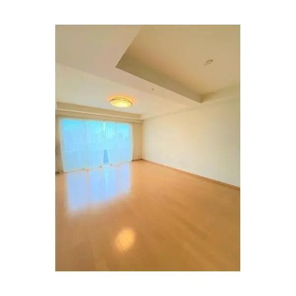 ライオンズタワー月島 その他画像