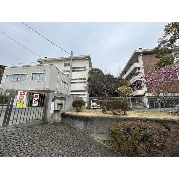 鎌倉市今泉2丁目 鎌倉市立今泉小学校 約370m