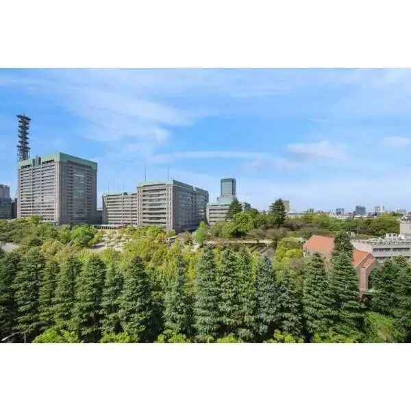 ザ・パークハウス市ヶ谷 その他画像