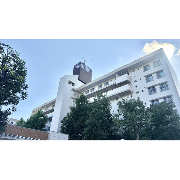 東大路高野第２住宅８棟 外観