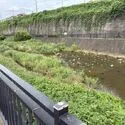 日野市新町５丁目 いこいの水辺 約710m