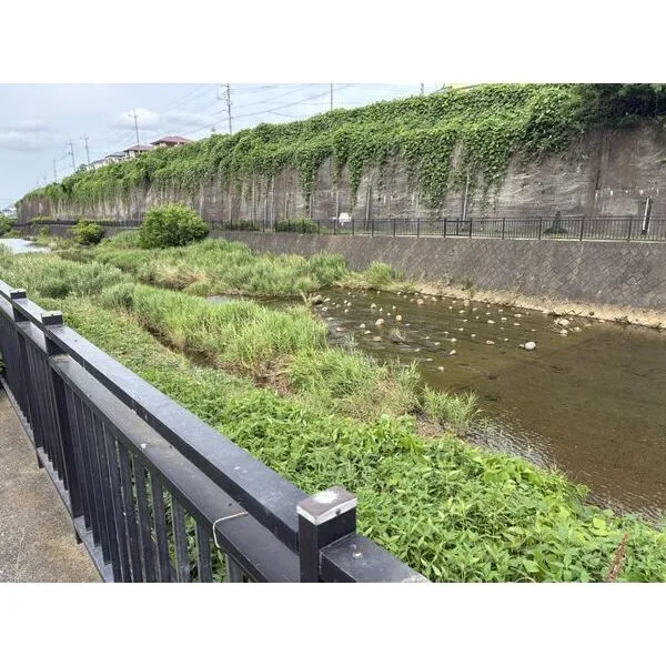 日野市新町５丁目 いこいの水辺 約710m