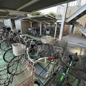 グリーンライフ蕨市民公園 その他画像