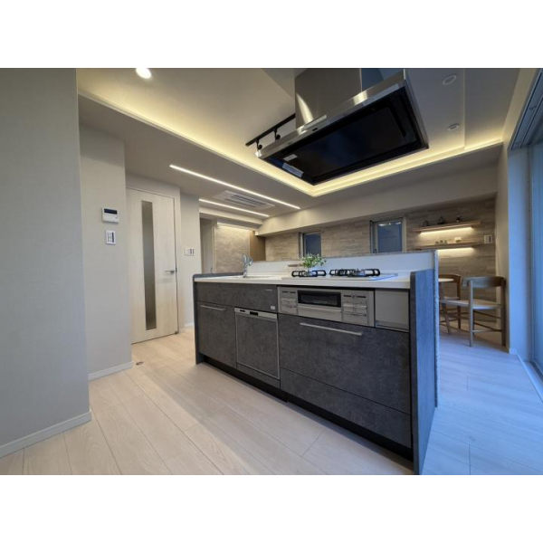 ラコント新宿セントラルパークアパートメント その他画像