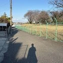 市川市中国分５丁目 前面道路