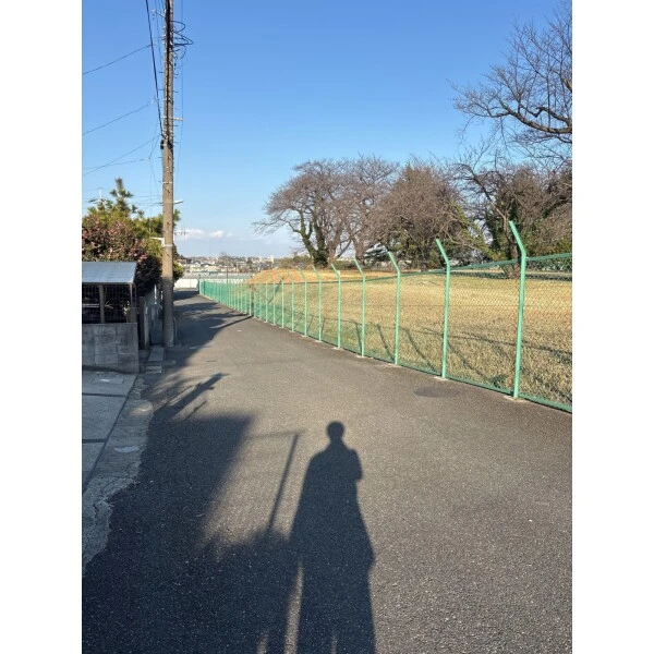 市川市中国分５丁目 前面道路
