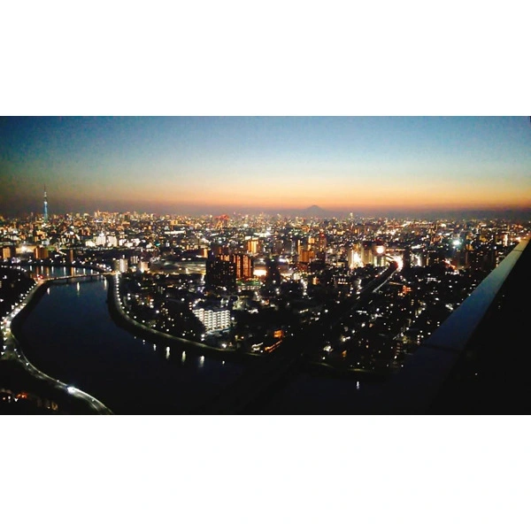 シティタワー金町 その他画像