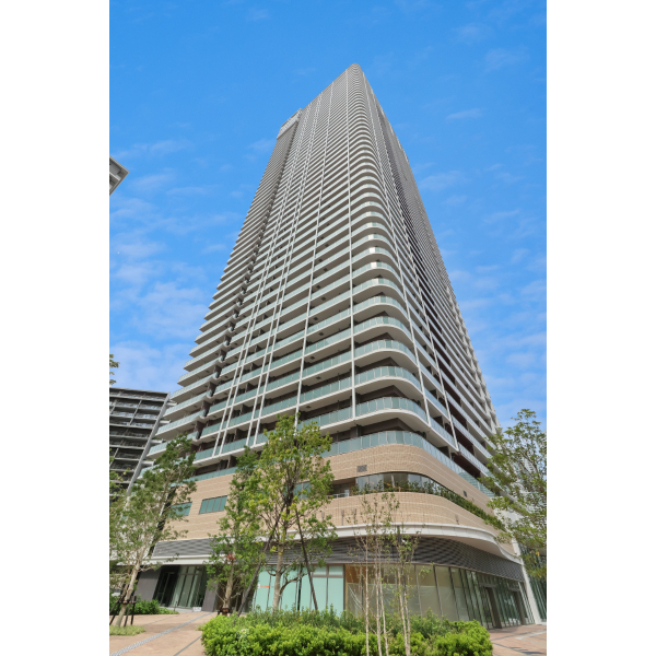 ＨＡＲＵＭＩ　ＦＬＡＧ　ＳＵＮ　ＶＩＬＬＡＧＥ　Ｔ その他外観