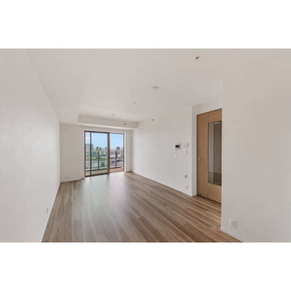 ＨＡＲＵＭＩ　ＦＬＡＧ　ＳＵＮ　ＶＩＬＬＡＧＥ　Ｔ LD