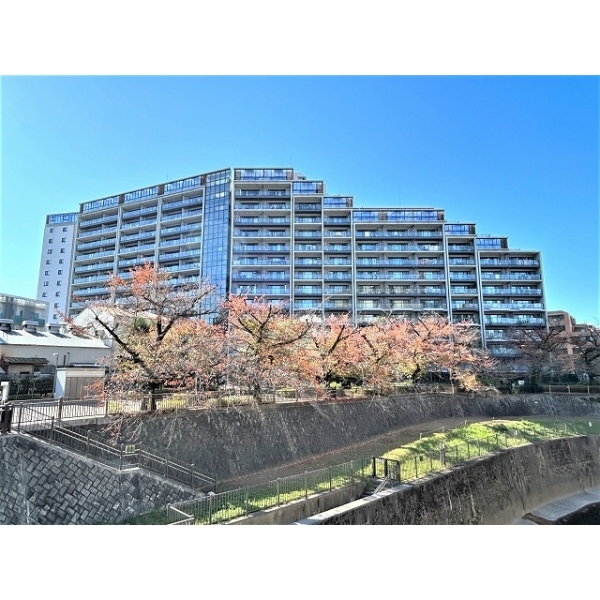 シティテラス加賀 その他画像