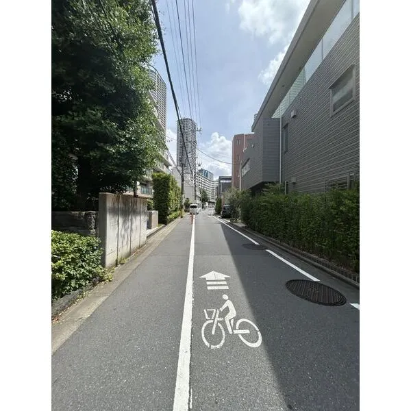 ヒルズ武蔵小杉 前面道路