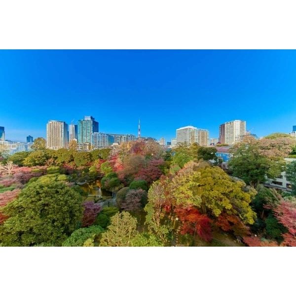 三田綱町パークマンション その他画像
