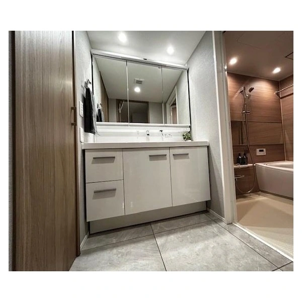 メゾンセゾン落合 洗面室