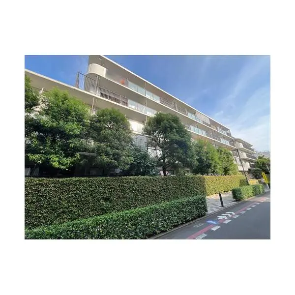 武蔵野中町スカイハイツ その他画像