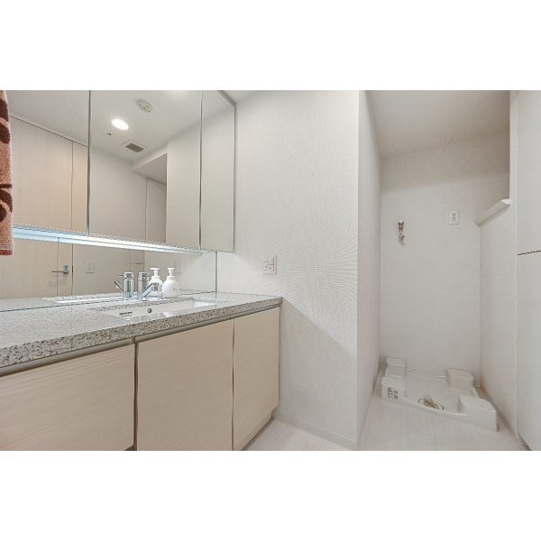 エクラスタワー武蔵小杉 洗面室