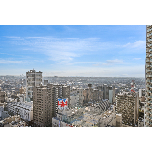 エクラスタワー武蔵小杉 眺望