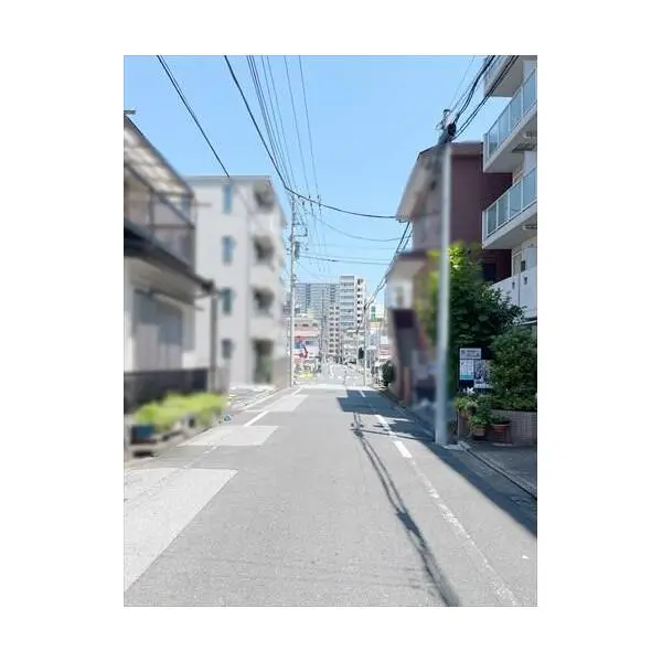 プレール・ドゥーク亀戸II その他画像