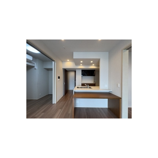 プレミストタワー靭本町 その他画像