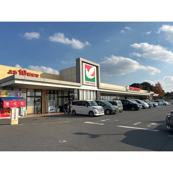 柏市伊勢原１丁目 ヨークフーズ 柏の葉公園店　（スーパー）まで約880m（徒歩11分）