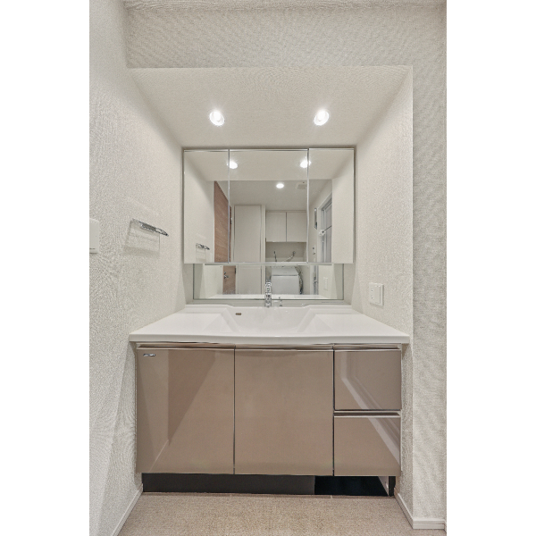 リーフィアタワー海老名アクロスコート 洗面台