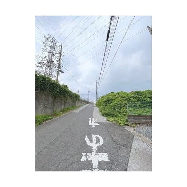 川口市差間1丁目 南側前面道路‐2026年6月撮影