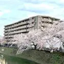 ナイスエスアリーナ弘明寺 外観