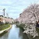ナイスエスアリーナ弘明寺 その他画像