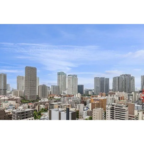 MID TOWER GRAND バルコニーからの昼の眺望