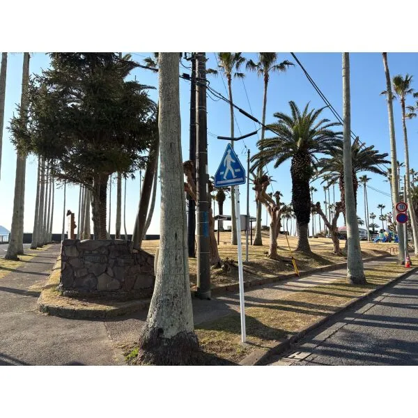 逗子マリーナ厚生用建物８号棟 小坪海浜公園（公園）まで約120m（徒歩2分）