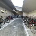 サングリーン帝塚山 駐輪場