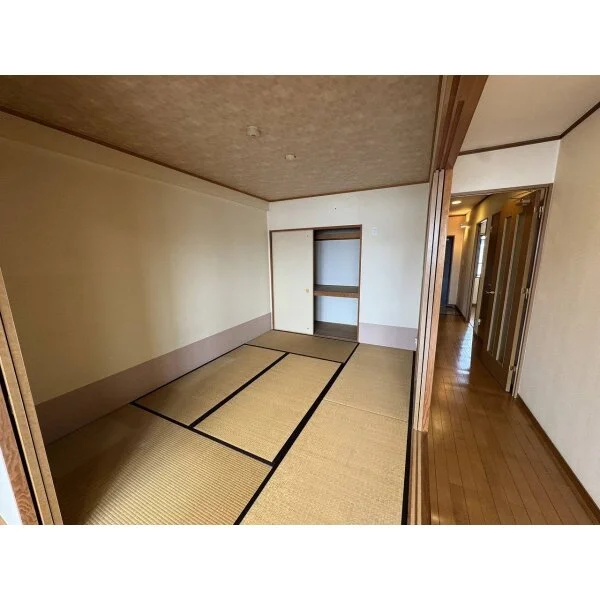 コンフィデンス その他画像