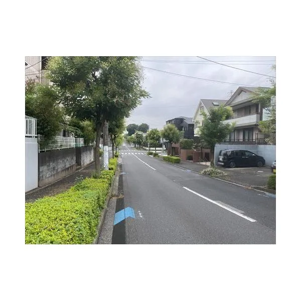 埼玉県さいたま市緑区東浦和４丁目 前面道路