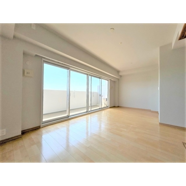 ビッグカーサ堺しらさぎ駅前ｔｏｗｅｒｃａｓａＤ その他画像