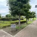 大田区田園調布５丁目 世田谷区立ぽかぽか広場（公園）まで約400m（徒歩5分）