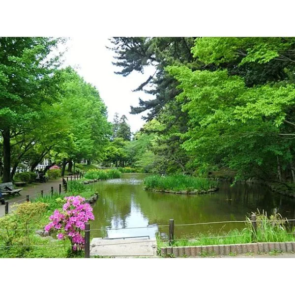 大田区田園調布5丁目 宝来公園(公園)まで約1000m(徒歩13分)