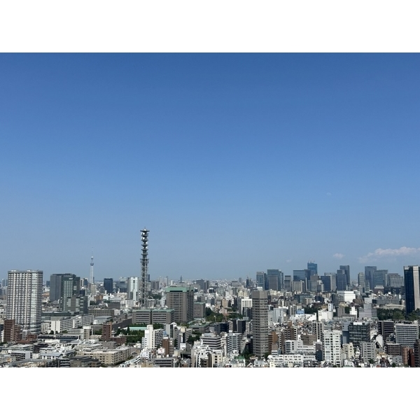 富久クロス　コンフォートタワー その他画像