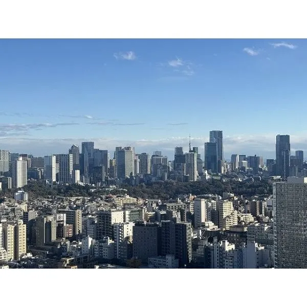 富久クロス コンフォートタワー 皇居、東京タワーを望む(天候による)