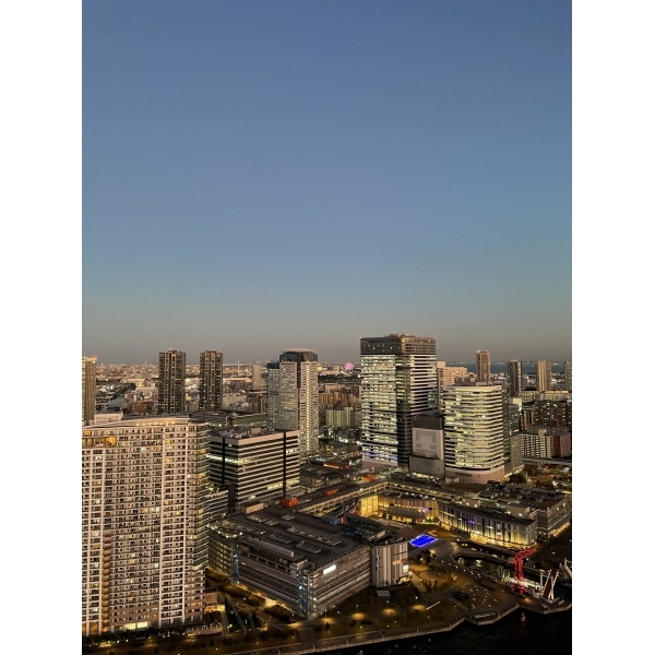 パークタワー晴海 バルコニーからの眺望