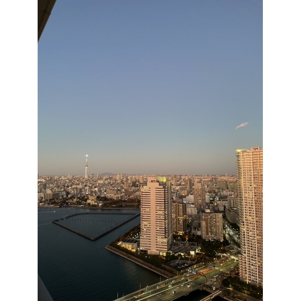 パークタワー晴海 バルコニーからの眺望