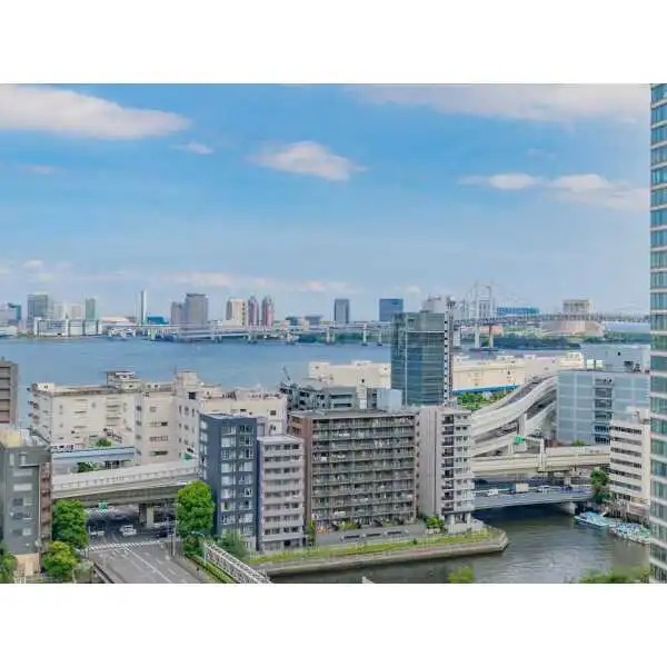 ザ・タワー芝浦 その他画像