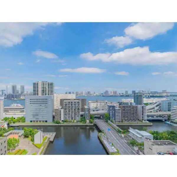 ザ・タワー芝浦 その他画像