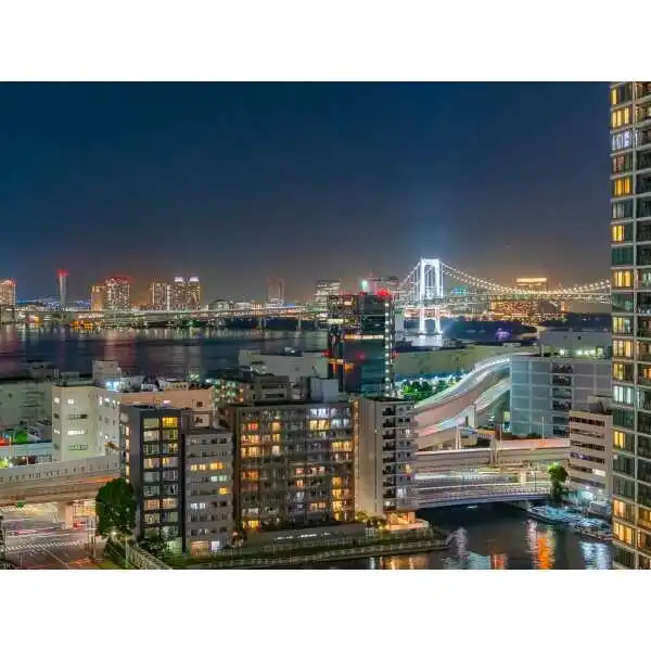 ザ・タワー芝浦 その他画像